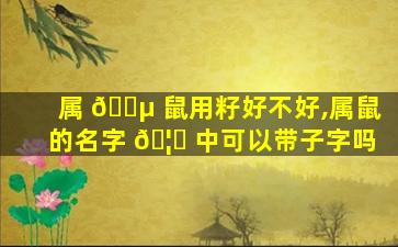 属 🐵 鼠用籽好不好,属鼠的名字 🦋 中可以带子字吗